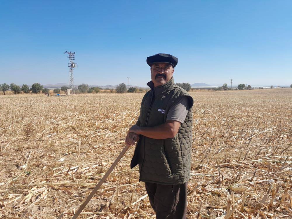 Konya’da sessizliği kuzular bozdu 5